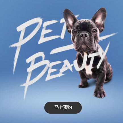 石阡县宠物中心小程序开发